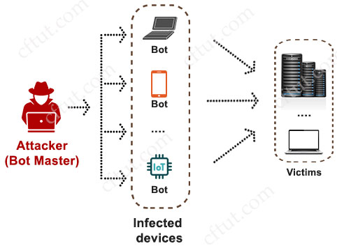 botnet.jpg